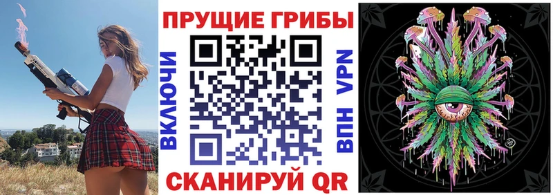Псилоцибиновые грибы мухоморы  мега зеркало  Межгорье 